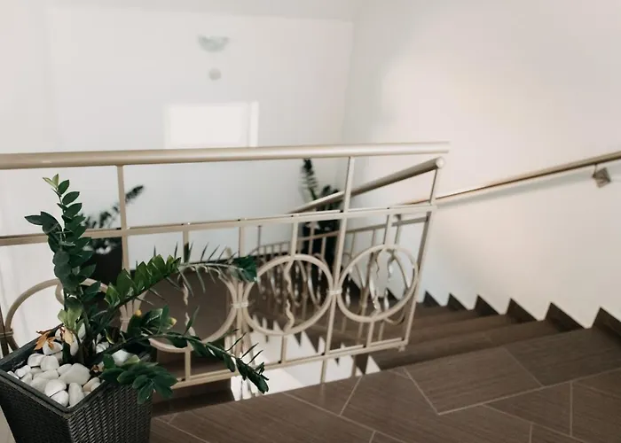 Palma Superior 3*